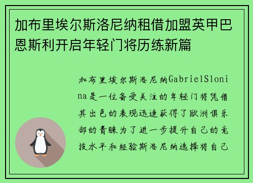 加布里埃尔斯洛尼纳租借加盟英甲巴恩斯利开启年轻门将历练新篇