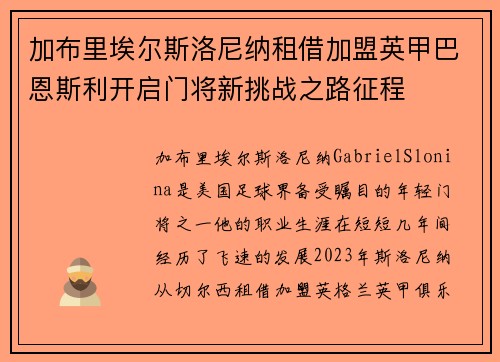 加布里埃尔斯洛尼纳租借加盟英甲巴恩斯利开启门将新挑战之路征程